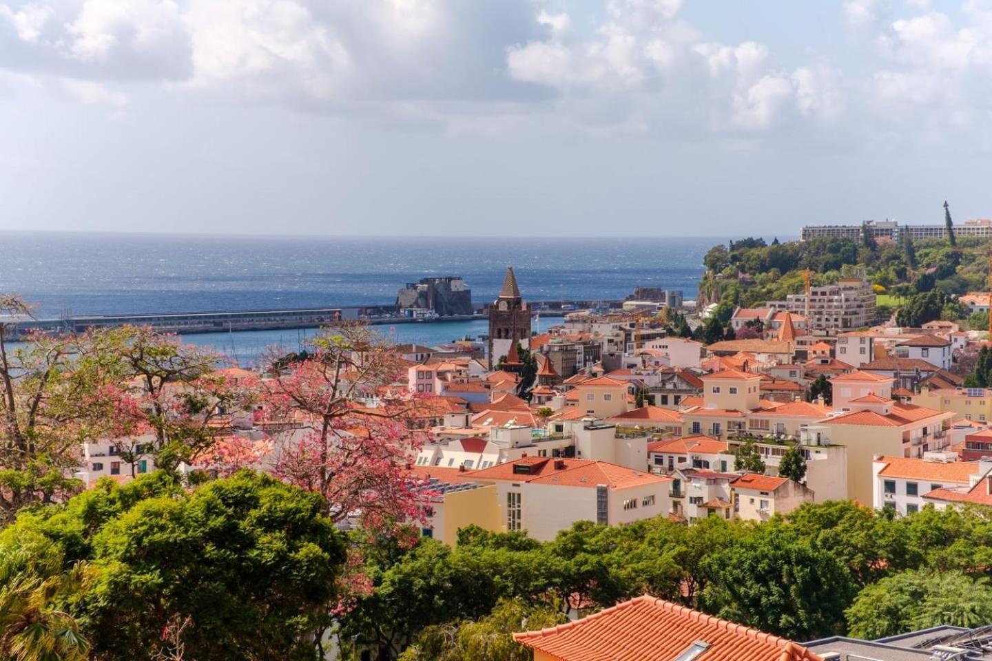 Varandas Funchal-near Center Apartamento